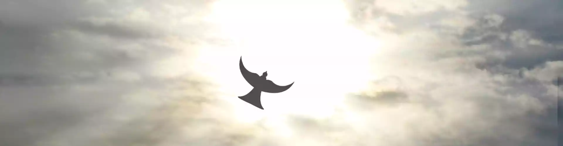 Spiritualitás "A mentális jólét hiányzó láncszeme" - Online Class by Beth Lynch