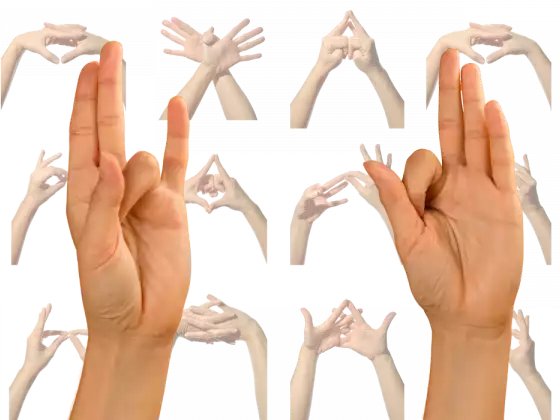 Misztikus mudrák: Havi Reiki/Jóga Fusion Workshop sorozat