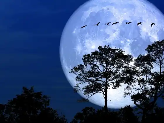 Meditasi Bulan Purnama