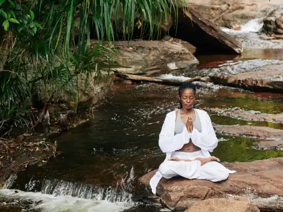 Gassho Gateway: Szívközpontú meditáció Reiki-gyakorlók számára