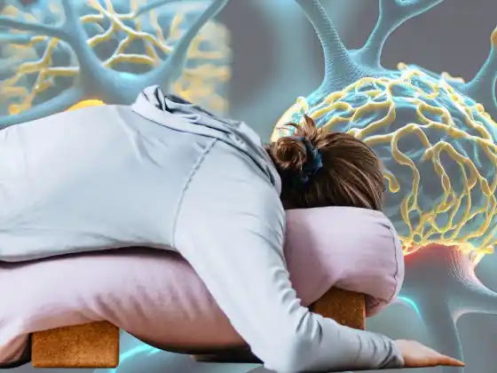 Figyelmes mozgás: A neuroplaszticitás felfedezése és megértése a yin jógában