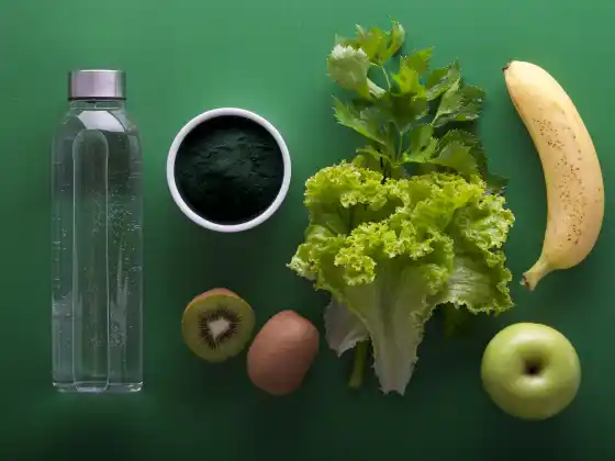 膳食計劃理論 