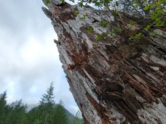 शरद विषुव समारोह - अपनी ऊर्जा को पुनः स्थापित करें