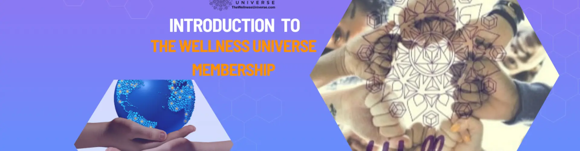 웰니스 유니버스 멤버십 소개 - VIP 초대 - Online Class by The Wellness Universe